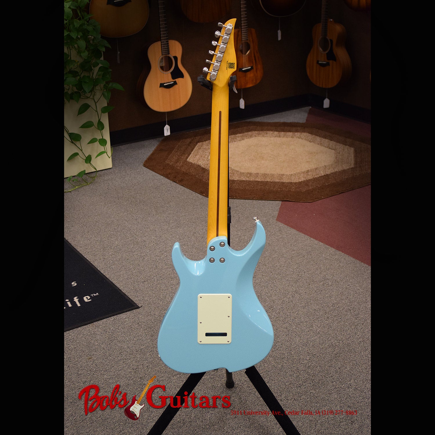 Vola OZ V3 MC Daphne Blue | Bob's Guitars ~ 40+ years selling