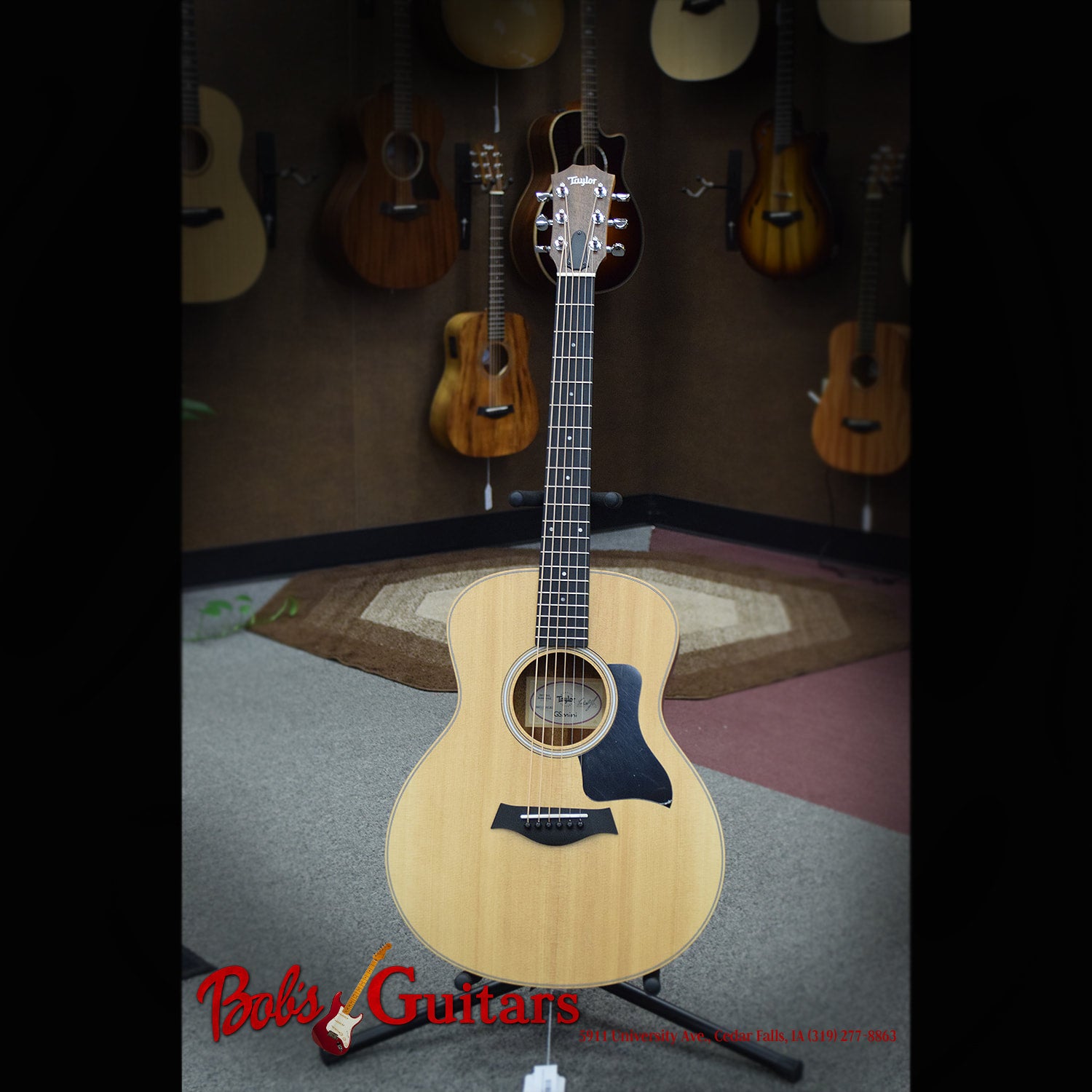 Taylor GT 811e - Natural